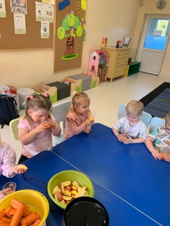 WhatsApp Image 2026-03-20 at 19.59.33565.jpeg